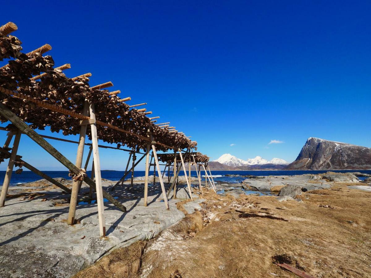 Midnight Sun View Lofoten Vila Leknes Exterior foto